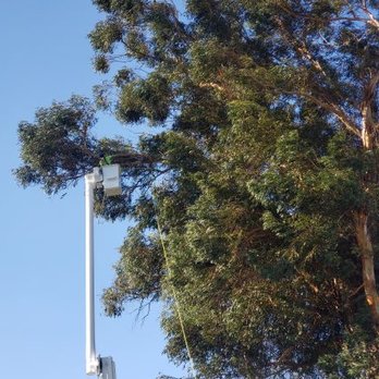 Valley Tree Service - Tree Services Near Me Valley Tree Service - Tree Services Near Me