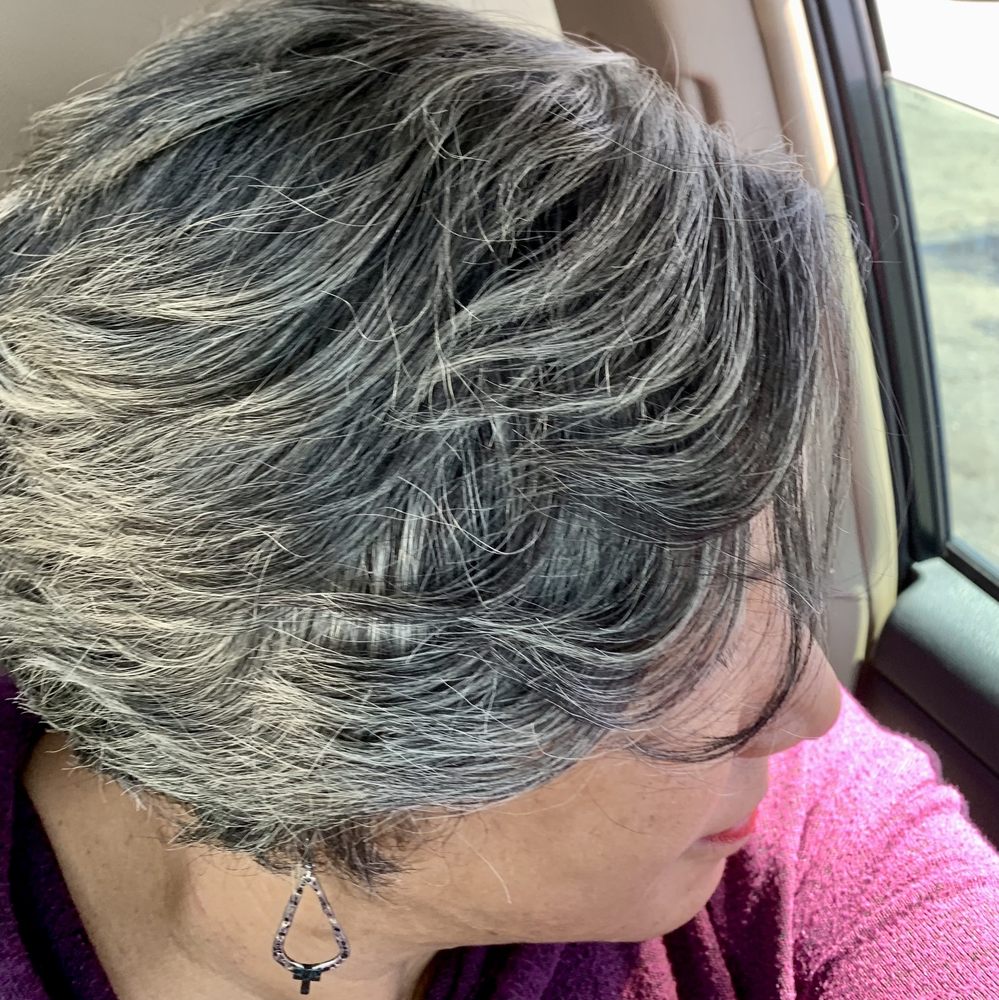 GREAT CLIPS Updated August 2024 13 Photos & 17 Reviews 572 W