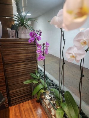 Shu Restaurant by null