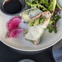 Pause Ultra Lounge - Spring rolls