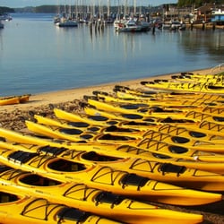 Sydney Harbour Kayaks - Sydney Harbour Kayaks