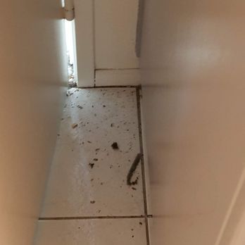 Busy Bee Cleaning Services - This was moments after they left. Between the garage door and the fridge. - Home Cleaning Near Me Busy Bee Cleaning Services - This was moments after they left. Between the garage door and the fridge. - Home Cleaning Near Me