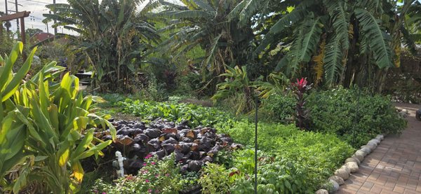 Paradigm Gardens by null