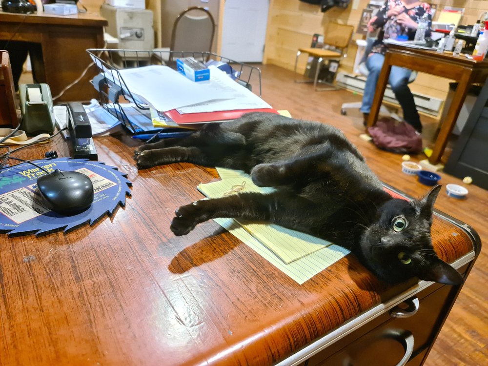 BURGOYNE QUALITY HARDWARE & LUMBER Updated October 2024 32 Photos