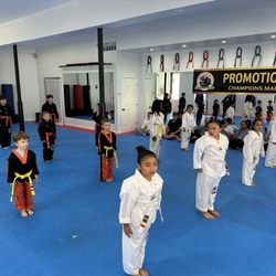 Champions Martial Arts
