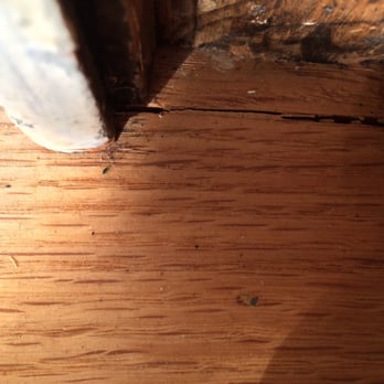 Elm Floor Flooring 2046 N 73rd Ct Elmwood Park Il Phone Number