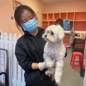 BMK Pet Salon - Pet Groomers Near Me - San Francisco, California BMK Pet Salon - Pet Groomers Near Me - San Francisco, California