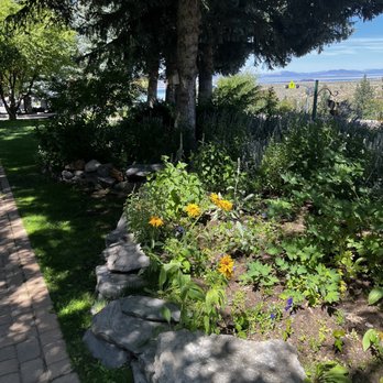 Basin Cafe - Flowers everywhere - Burgers Near Me - Lee Vining, California Basin Cafe - Flowers everywhere - Burgers Near Me - Lee Vining, California