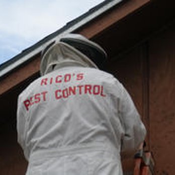 Rico's Pest Control - Pest Control Near Me - La Marque, Texas