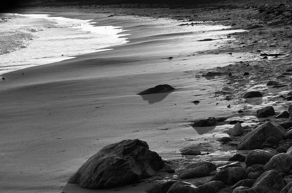 South Shore Beach by null