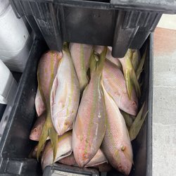 Ham Seafood Express - Yellowtail Snapper
