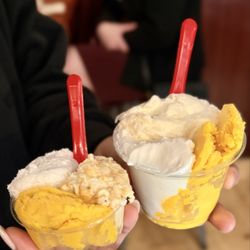 The Gelato Fiasco - Treat size & Medium size