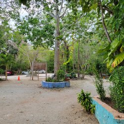 Cenote 7 Bocas