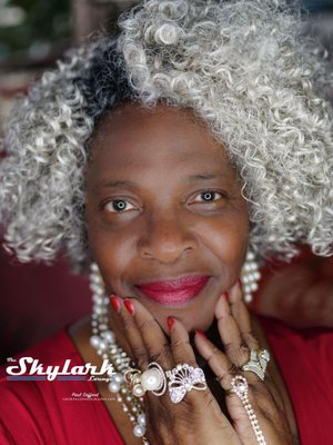 The Skylark Lounge by null