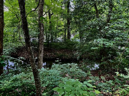 Landsford Canal State Park by null