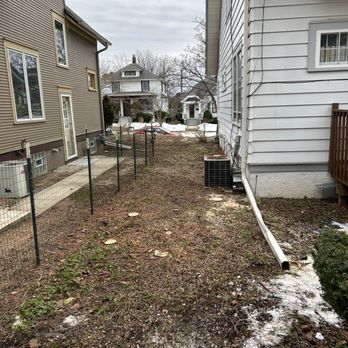 Voits Tree Service - Tree Services Near Me - West Bend, Wisconsin Voits Tree Service - Tree Services Near Me - West Bend, Wisconsin