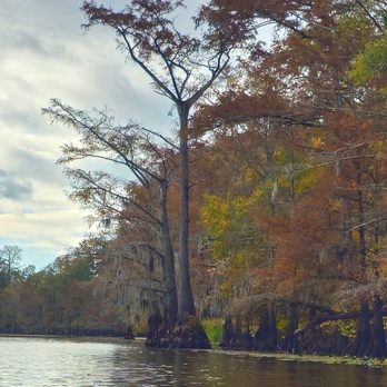 Backwater Jacks - Campgrounds Near Me - Karnack, Texas Backwater Jacks - Campgrounds Near Me - Karnack, Texas