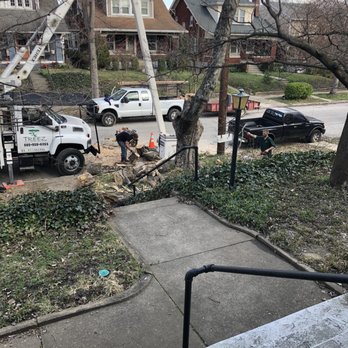Treez Service - Tree Services Near Me - Lanesville, Indiana Treez Service - Tree Services Near Me - Lanesville, Indiana
