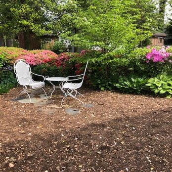 MDR Landscaping & Tree Service - Bush and tree trimming and weeding and mulching are superb. - Tree Services Near Me