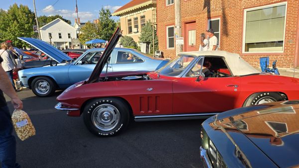 Spring Grove by null