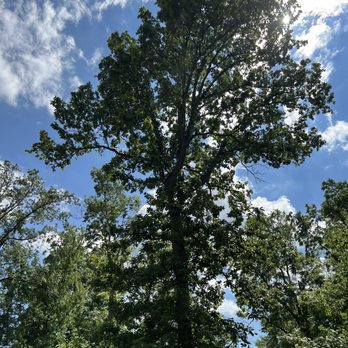 Meadowood Park - Parks Near Me - Speedway, Indiana