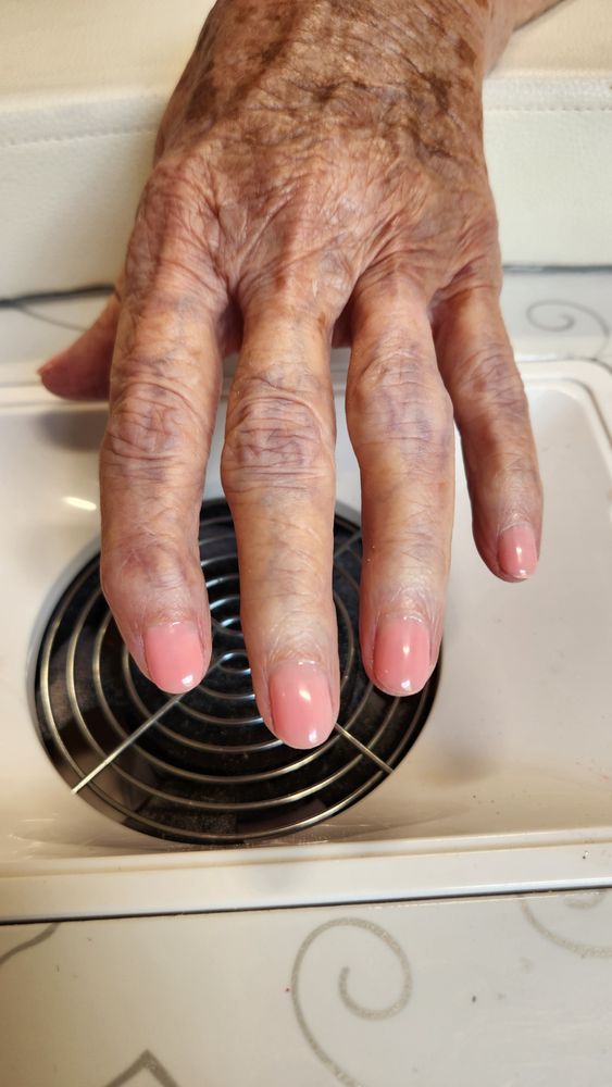 Teresa Mobile Nail Spa Logo