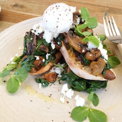 The Baker's Arms - Truffled Mushrooms | Herb roasted mushrooms, truffle oil, sautéed spinavi, Persian feta on toasted ciabatta with an egg.