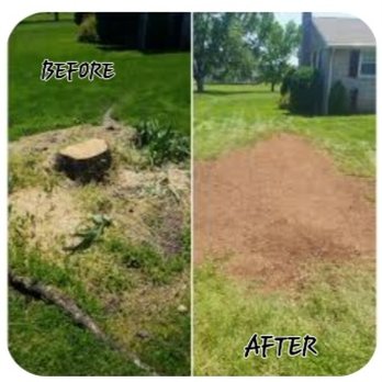 RM HANDYMAN SERVICES - Handyman Near Me RM HANDYMAN SERVICES - Handyman Near Me