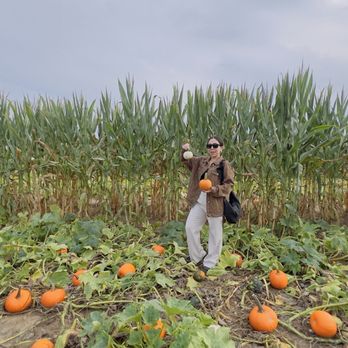 Farms View Roadstand - Picking pumpkins - Farmers Market Near Me - Wayne, New Jersey