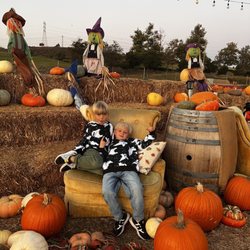 Pumpkin Station - Great place