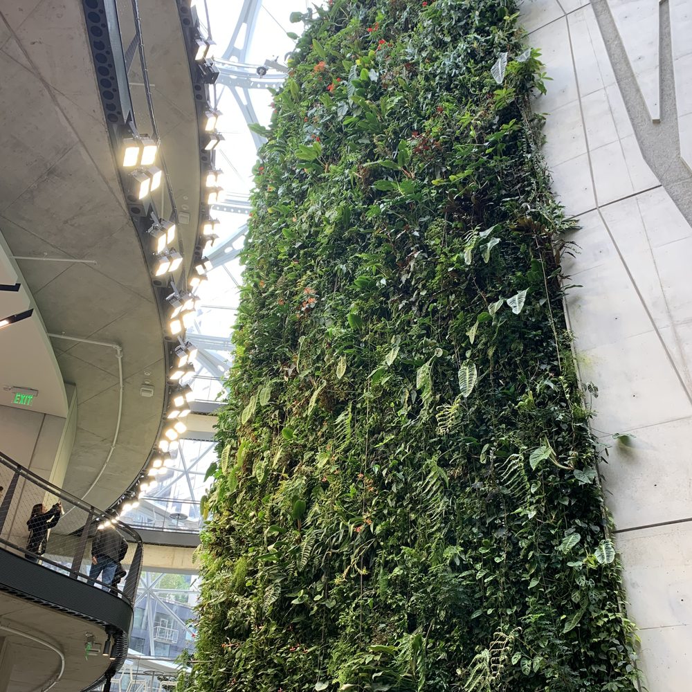 Amazon Spheres - Plant wall - Botanical Gardens Near Me - Seattle, Washington Amazon Spheres - Plant wall - Botanical Gardens Near Me - Seattle, Washington
