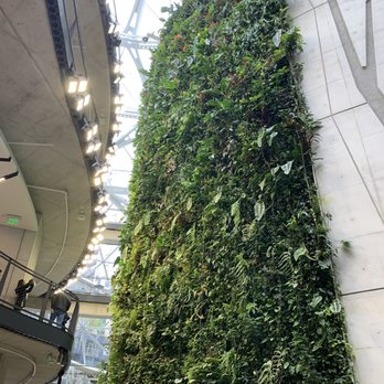 Amazon Spheres - Plant wall - Botanical Gardens Near Me - Seattle, Washington