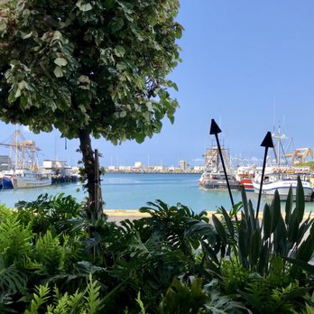 Nico's Pier 38 - A Friday morning breakfast view - Seafood Near Me - Honolulu, Hawaii Nico's Pier 38 - A Friday morning breakfast view - Seafood Near Me - Honolulu, Hawaii