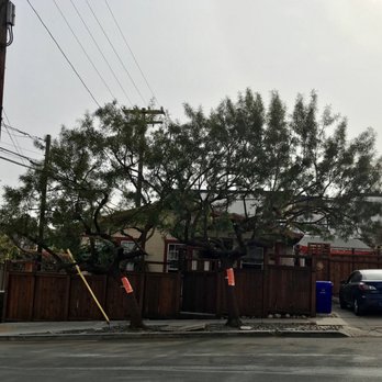 All Access Tree Care - After and beautiful!!! - Tree Services Near Me - El Cajon, California All Access Tree Care - After and beautiful!!! - Tree Services Near Me - El Cajon, California
