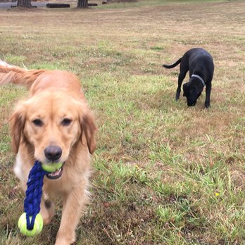 JBB Dog Training - Pet Training Near Me JBB Dog Training - Pet Training Near Me