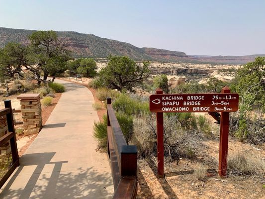 Natural Bridges National Monument by null
