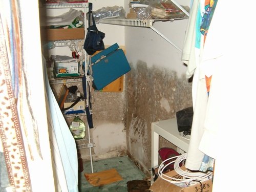 A PROtected Property Inspections - mold inspector in Port St Lucie, FL