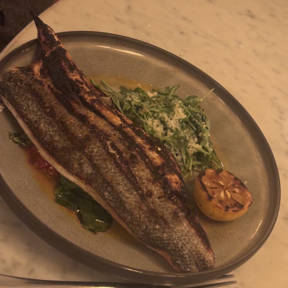 The Pembroke - Brazino - New American Near Me - Washington, DC, District of Columbia The Pembroke - Brazino - New American Near Me - Washington, DC, District of Columbia