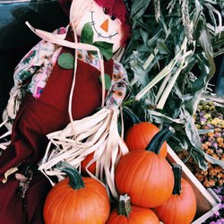 La Fruiterie Du Plateau