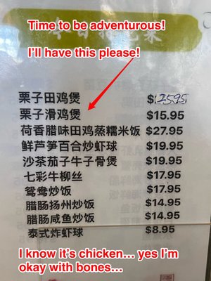 Lotus Garden by null