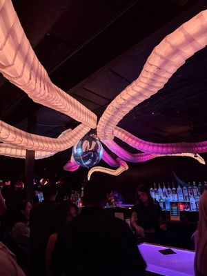Discopussy by null