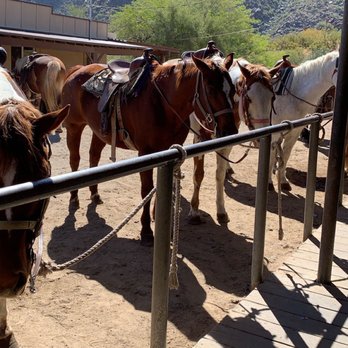 Ponderosa Stables - Horseback Riding Near Me - Phoenix, Arizona