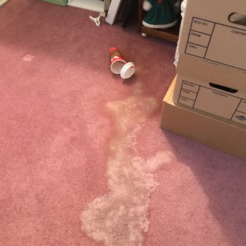 Rush Hour Moving & Hauling - Coffee stain on new carpet due to coffee left by Rush Hour movers. - Movers Near Me - Laurel Springs, New Jersey