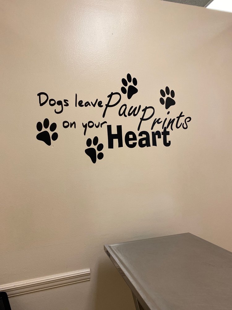 COMPANION ANIMAL HOSPITAL Updated August 2024 3815 N Highway 1