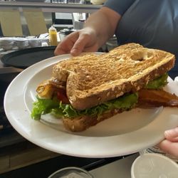 Wildlife Grill - BLT sandwich