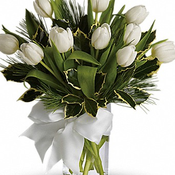 The Holly Berry - Florists Near Me - Evergreen, Colorado The Holly Berry - Florists Near Me - Evergreen, Colorado