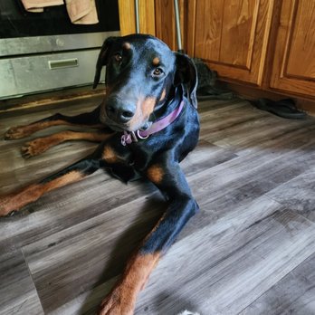 Flatwallet Farm Grooming and Boarding - Pet Groomers Near Me Flatwallet Farm Grooming and Boarding - Pet Groomers Near Me