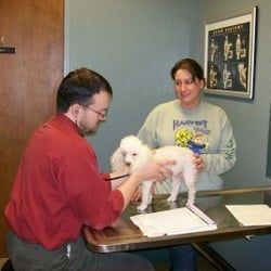 VCA Ocean Beach Animal Hospital