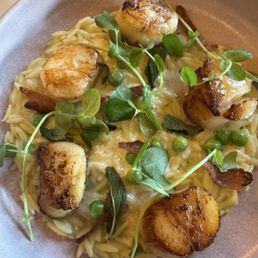 Seated Scallops