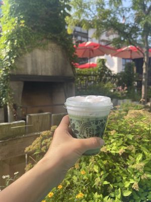 Colectivo Coffee Mequon by null